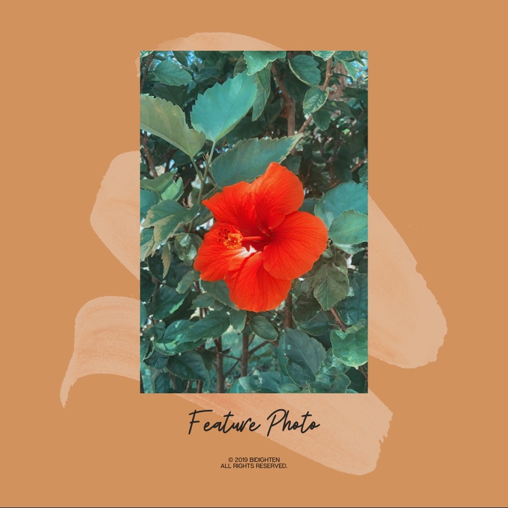 𝕙 𝕖 𝕝 𝕝 𝕠.・゜゜・ - Picture 4 of 14